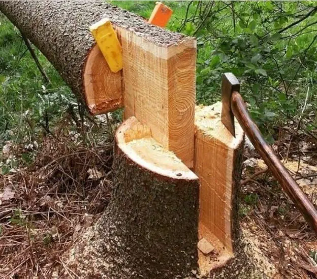 Tree Cutting Techniques - Detailed Manual (2021)