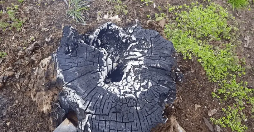 how to burn a stump with diesel