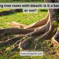 Killing Tree Roots With Bleach: Best Helpful Tips & Review