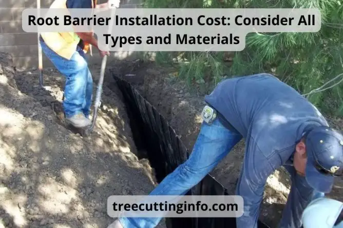Root Barrier Installation Cost: Consider All Types and Materials