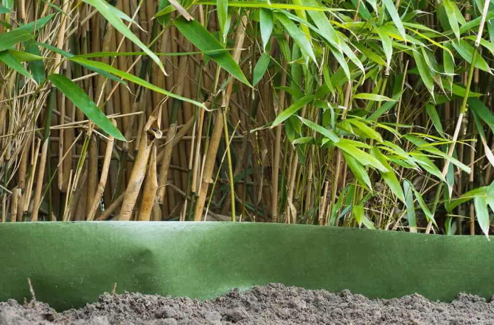 Bamboo Root Barrier