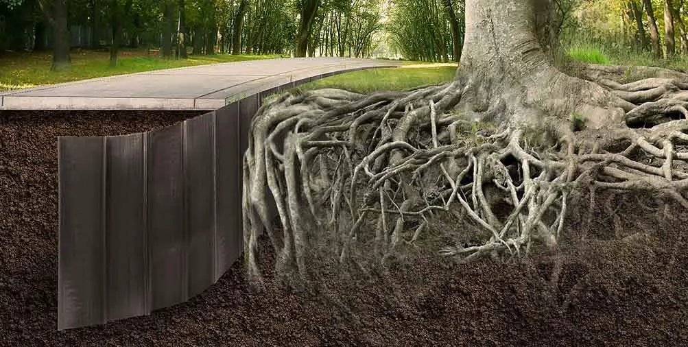 Tree root barrier protects concrete paths
