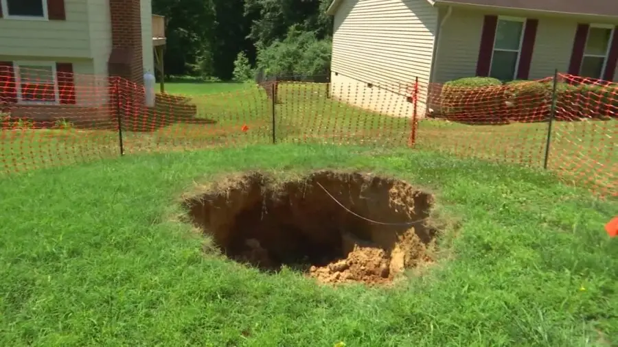 How to Fill Hole after Stump Grinding