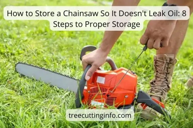 How to Store a Chainsaw So It Doesnt Leak Oil 8 Steps to Proper Storage