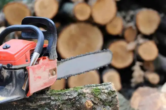 How To Store A Chainsaw So It Doesn't Leak Oil: 8 Pro Tips