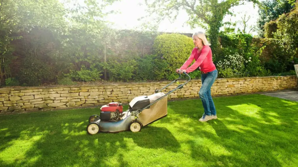General Tips for Setting Lawn Mower Height