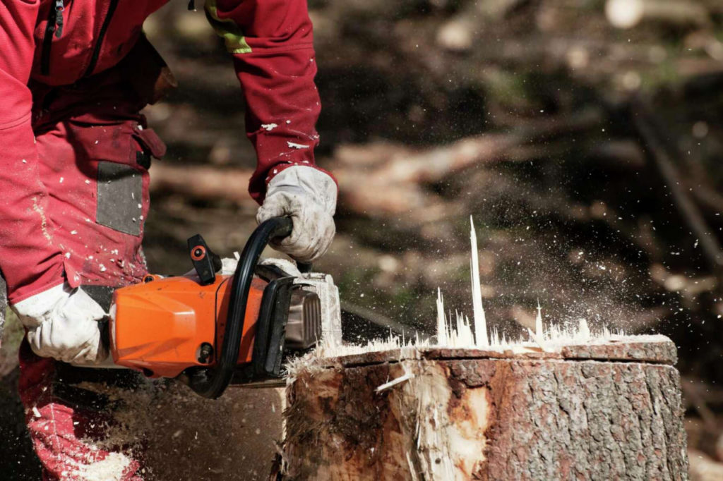 How do you know if your chainsaw makes isn’t oiling?