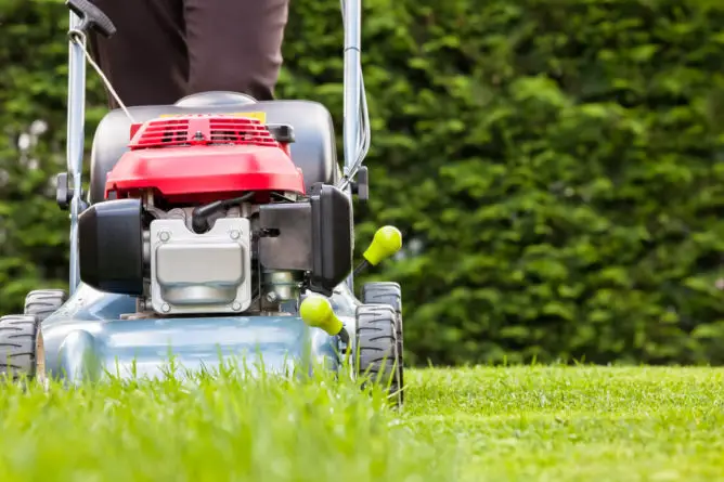 How to Measure Lawn Mower Cutting Height? A Comprehensive Guide