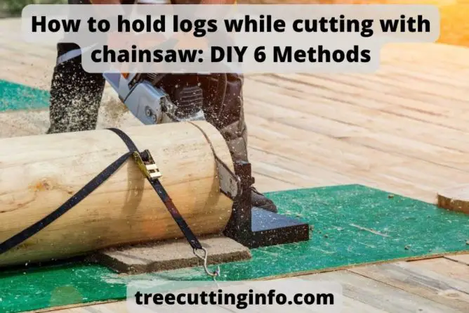 How to hold logs while cutting with chainsaw: DIY 6 Methods