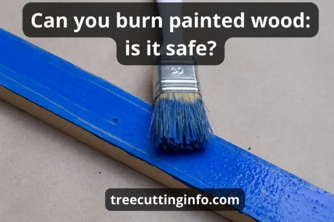 Can You Burn Painted Wood: Super Helpful Guide & Review
