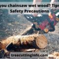 Can you chainsaw wet wood? Tips and Safety Precautions