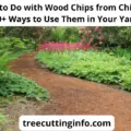 What To Do With Wood Chips From Chipper: 10+ Great Ideas