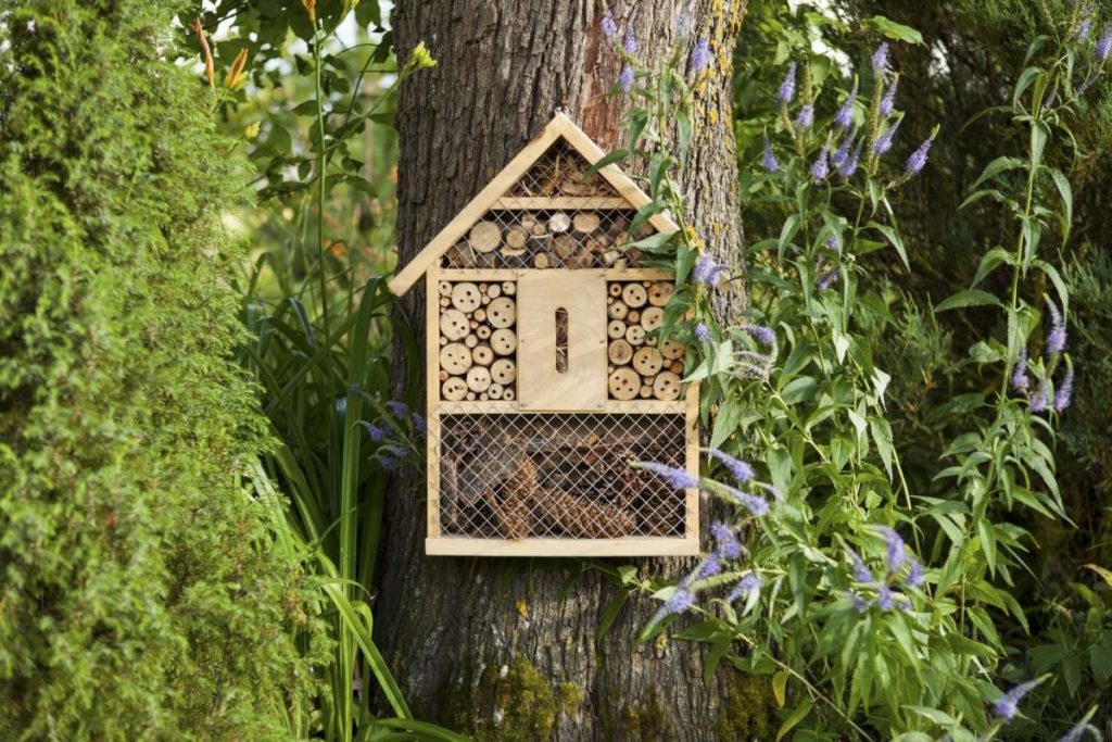 Use wood chips in bug hotels