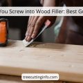 Can You Screw into Wood Filler: What To Do 5 Best Steps