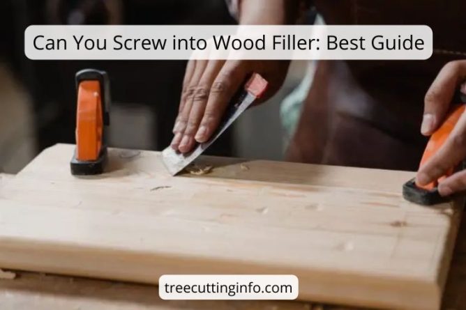 Can You Screw into Wood Filler: What To Do 5 Best Steps
