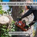 Free Tree Removal for Wood : in Best 7 Steps (Guide)