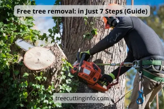 Free Tree Removal for Wood : in Best 7 Steps (Guide)