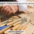 Is Cherry Wood Good for Carving: Tips and Techniques