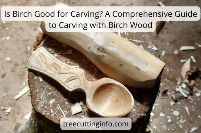 Is Birch Good for Carving? A Comprehensive Guide