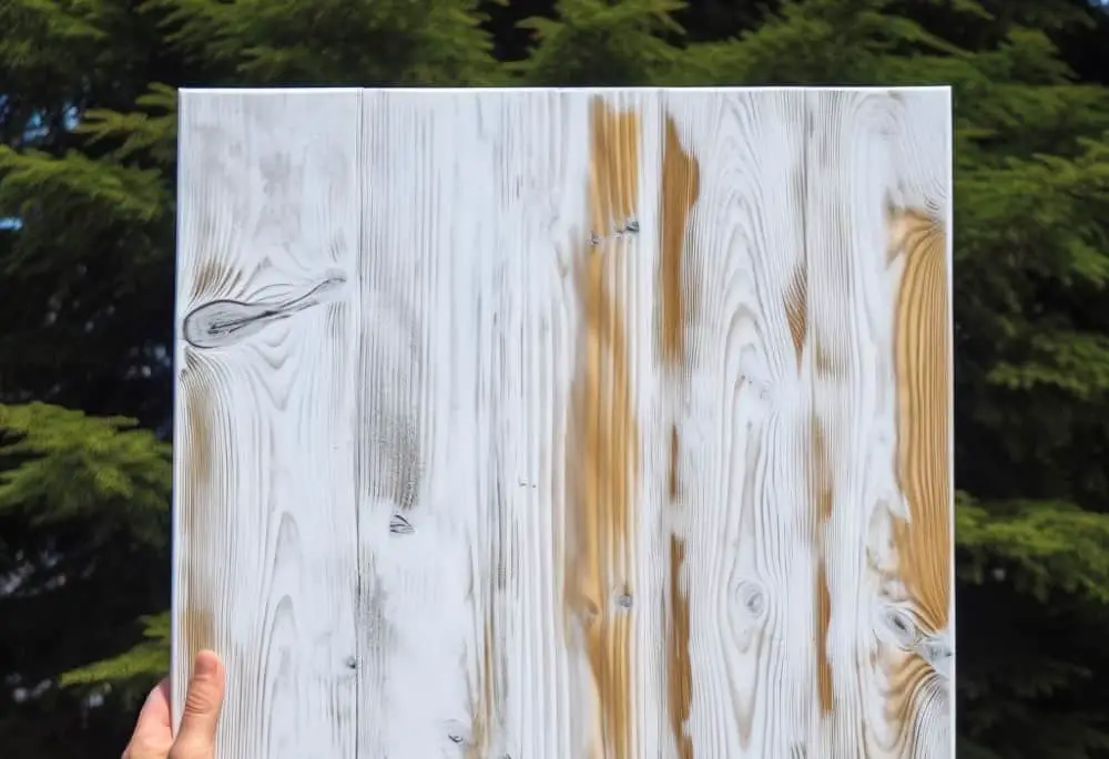 Cedar Board Painted White