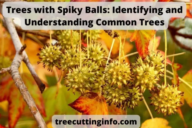 Trees with Spiky Balls